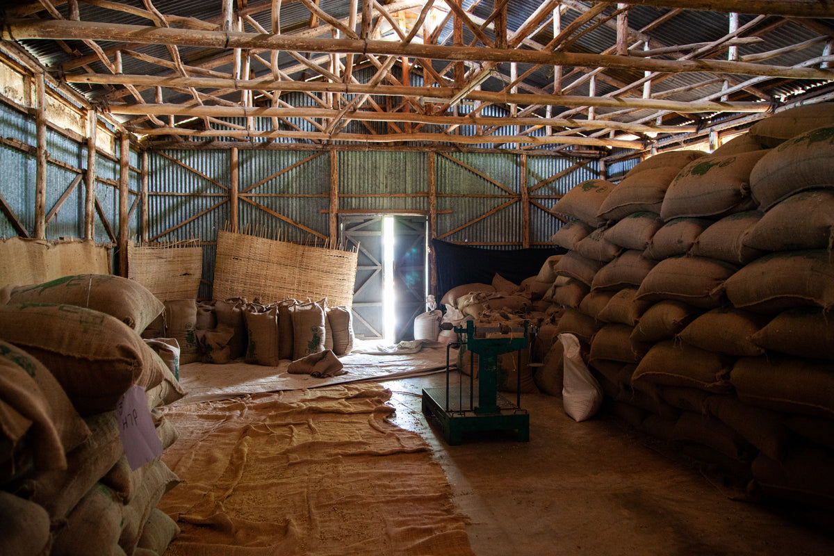 Ethiopia - Aricha Adorsi Washing Station (Espresso)