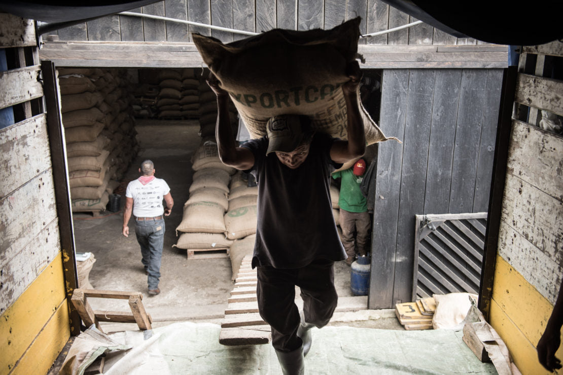 Guatemala San Cristobal Verapaz - Santa Isabel Estate (Filter)