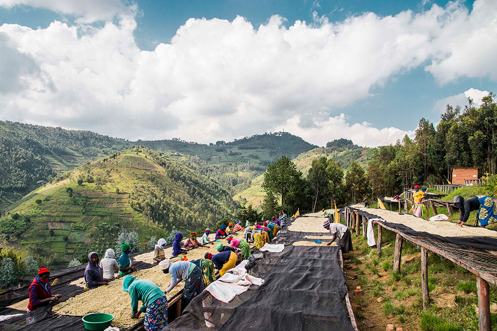 Rwanda Mbilima - Andre Hakizimana (Espresso)