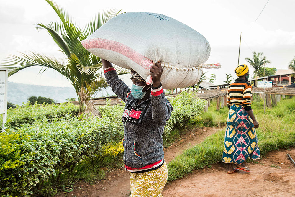 Rwanda Ruli PB - Dukunde Kawa (Filter)