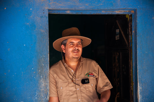 Guatemala - San Pedro Necta - Calahute (Filter)
