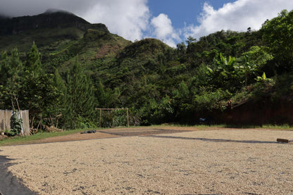 Peru Santa Maria - Aroma Des Valle (Filter)