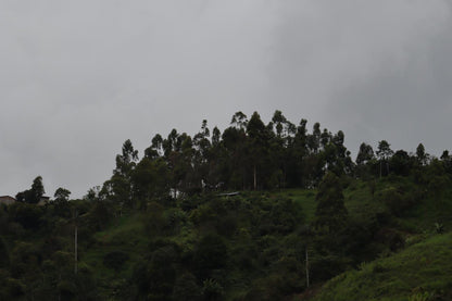 Peru Santa Maria - Aroma Des Valle (Filter)