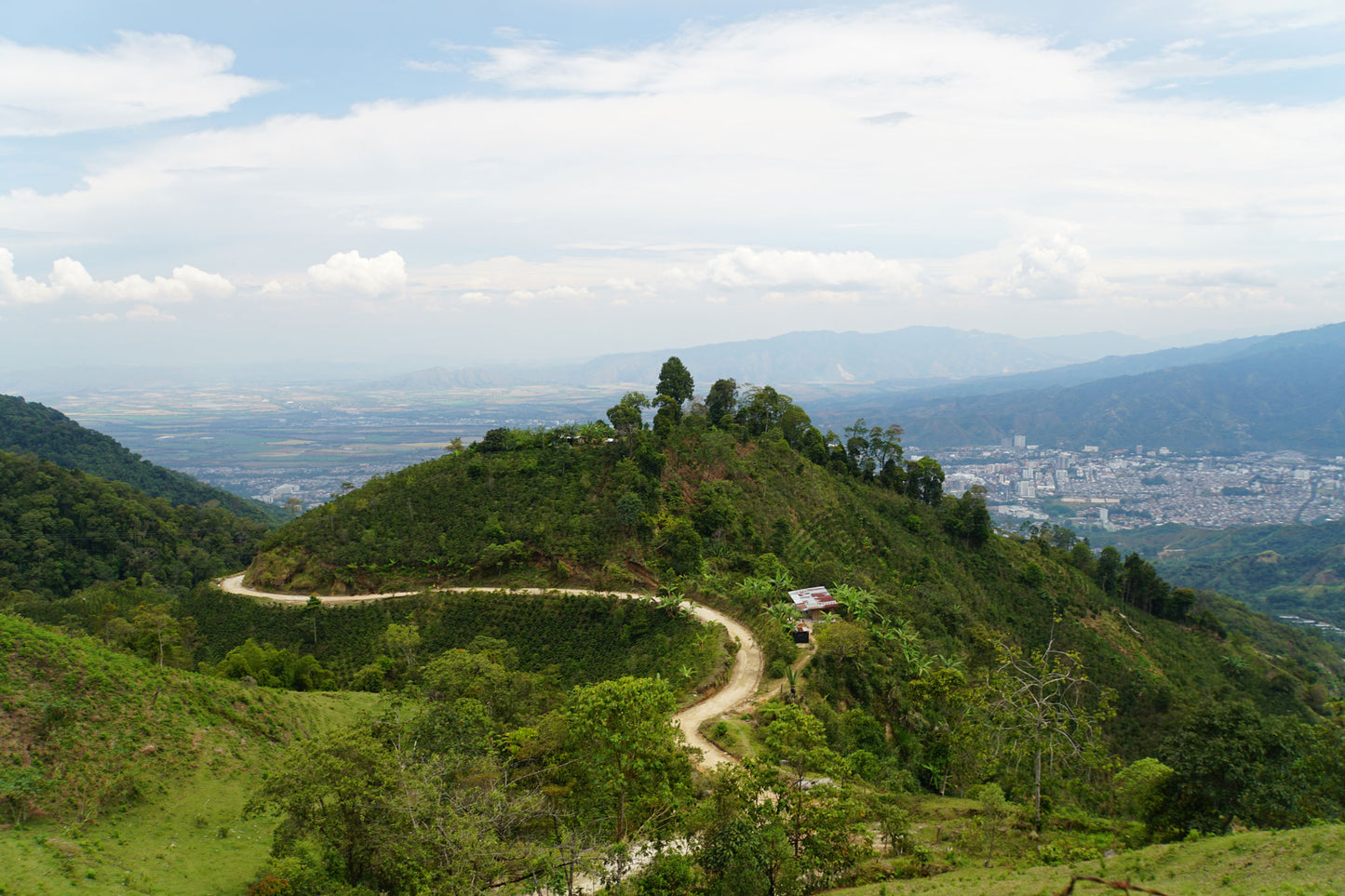 Colombia - Small Producers of Ibagué (Espresso)