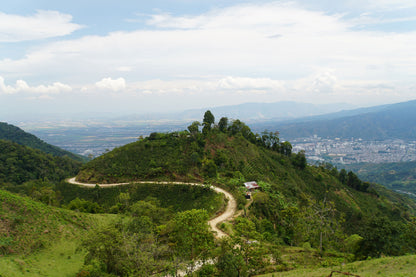 Colombia - Small Producers of Ibagué (Espresso)