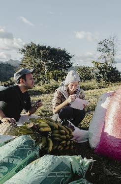 Nicaragua Finca Aurora - Ferrufino Family (Espresso)