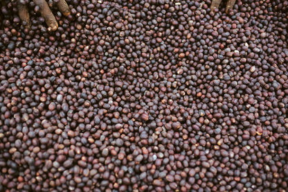 Colombia San Pedro - Gaitania (Espresso)