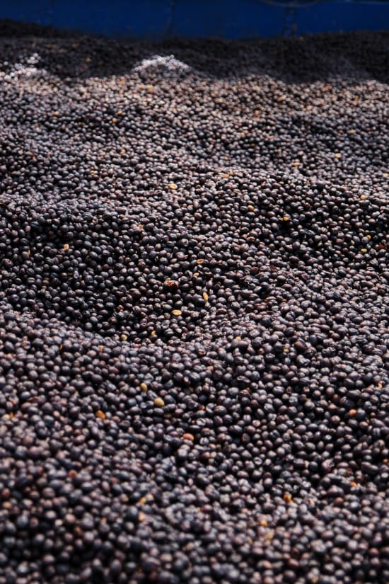 Costa Rica Finca Los Angeles - Las Lajas Mill (Filter)