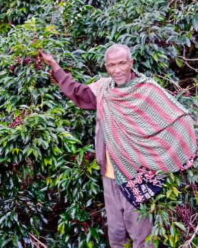 Ethiopia Ocholo Bedecho - Haro Wachu (Espresso)